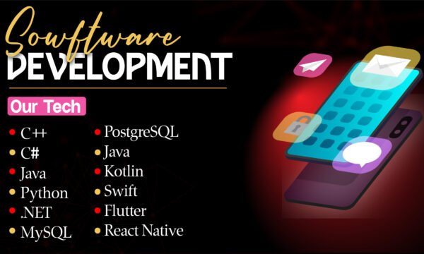 sowftware development